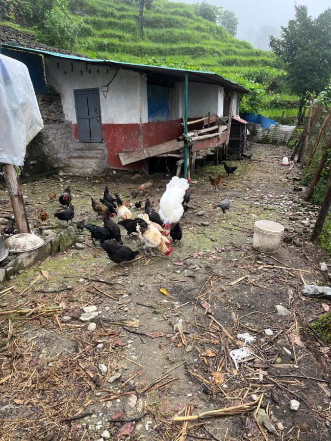 The North Face Inn'S Homestay Pokhara Zewnętrze zdjęcie